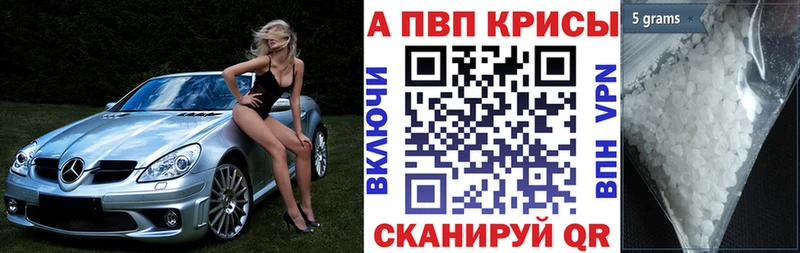 купить наркотик Суздаль мориарти телеграм APVP СК КРИС