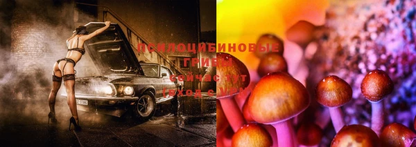 мдма Беломорск