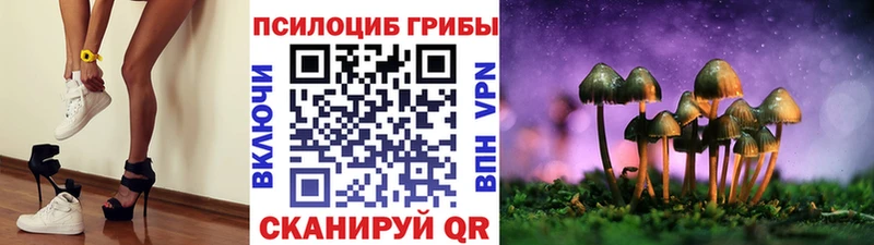 Псилоцибиновые грибы ЛСД  Суздаль 