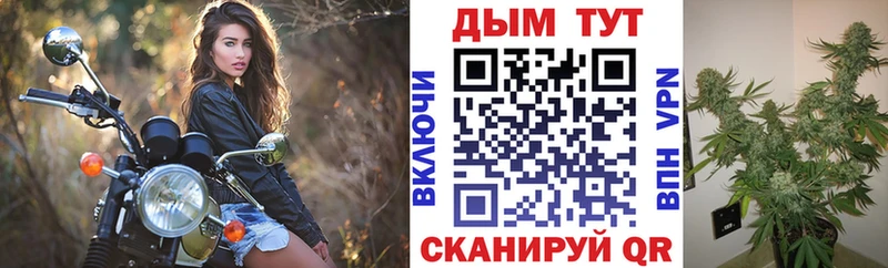 дарк нет какой сайт  как найти   Суздаль  Бошки Шишки марихуана  блэк спрут ТОР 